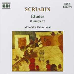 91香蕉视频污的下载
