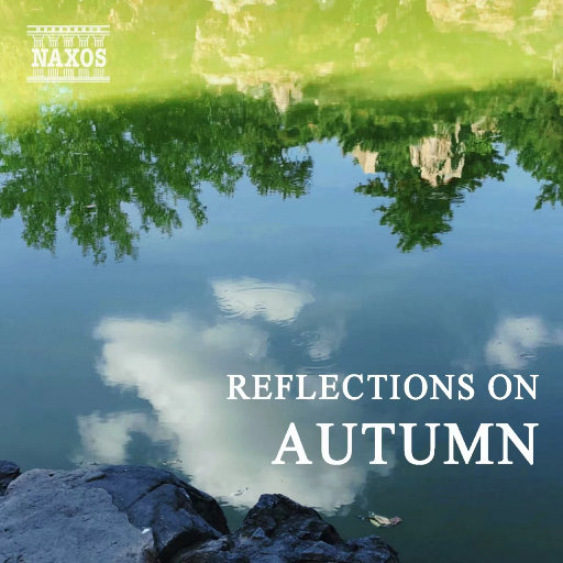 91香蕉视频污的下载
